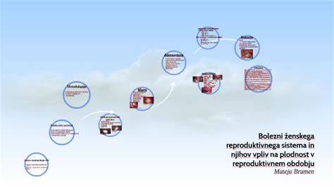 Diagram ženskega reproduktivnega sistema z označenimi možnimi viri krvavitve