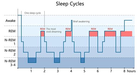 baby sleeping in REM phase