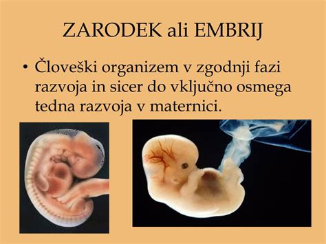 Diagram zgodnjega razvoja zarodka