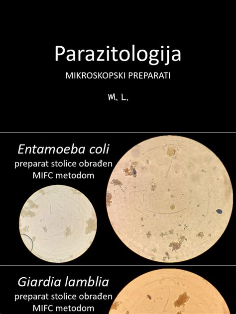 Mikroskopski posnetek zarodka v stadiju blastociste