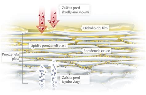 Diagram pH ravnovesje kože dojenčka