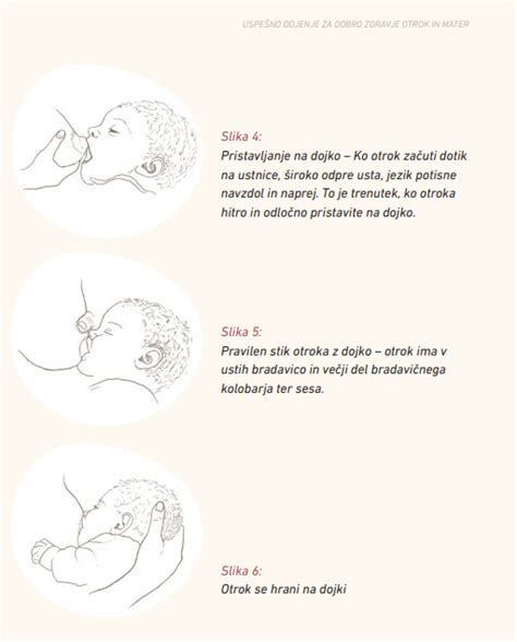Diagram pravilnega pristavljanja dojenčka k prsim