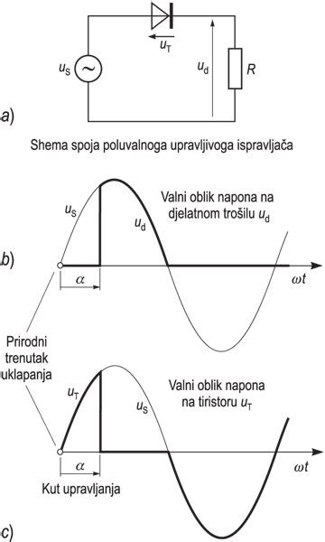 Shema različnih oblik bradavic
