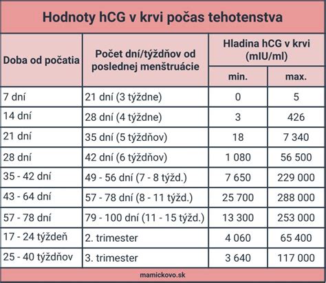 Časovnica razvoja hCG po oploditvi