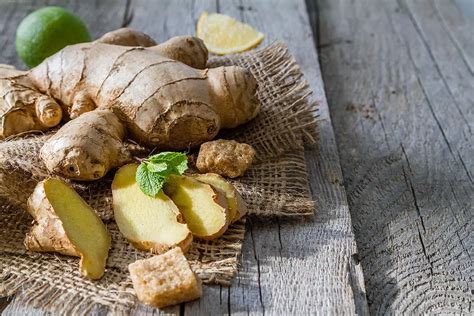 Blagodejni učinki ingverja pri nosečniški slabosti