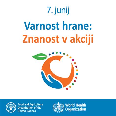 Infografika o varnosti hrane v nosečnosti