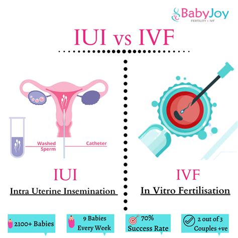 Infografika, ki primerja naravno zanositev, IUI in IVF