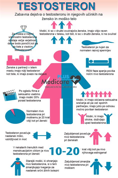 Diagram hormonskega vpliva na telo nosečnice