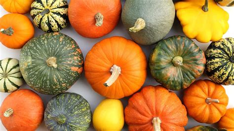 Različne sorte buč v različnih barvah in oblikah