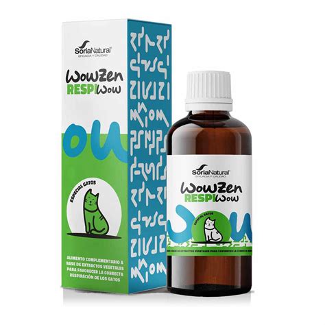 Diagram človeškega dihalnega sistema s poudarkom na diafragmi in pljučih