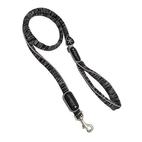 Različne barve labradorcev: črna, rumena in čokoladna