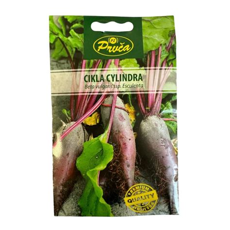 Ilustracija mačjega reprodukcijskega cikla