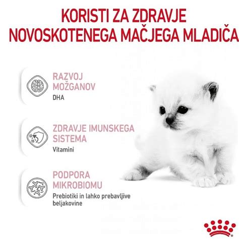 Diagram o nevarnostih za mačje mladiče