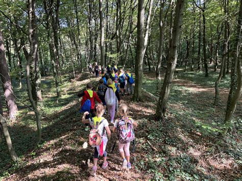 Starš z otroškim nosilcem na hrbtu med hojo po gozdni poti