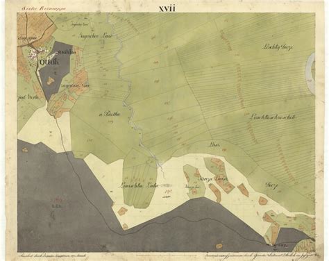 Ilustracija dojk z označenimi mlečnimi vmapsto