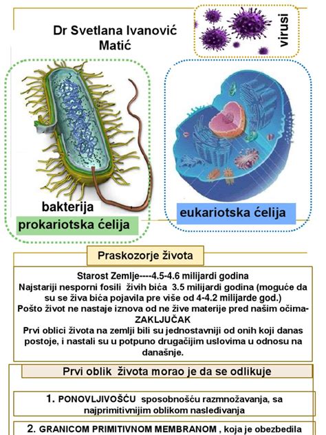 Ilustracija različnih mikroorganizmov, kot so virusi in bakterije