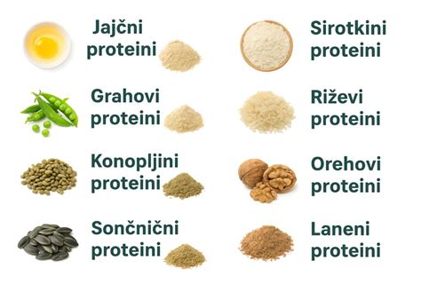 Pregled različnih virov beljakovin