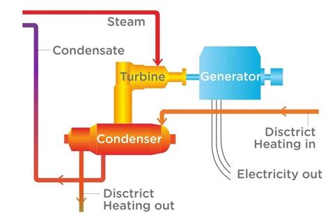 Diagram prikazuje posteljico in njeno povezavo s plodom