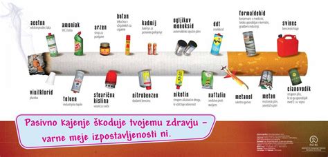 Diagram, ki prikazuje škodljive snovi v cigaretnem dimu in njihov vpliv na dojenčka