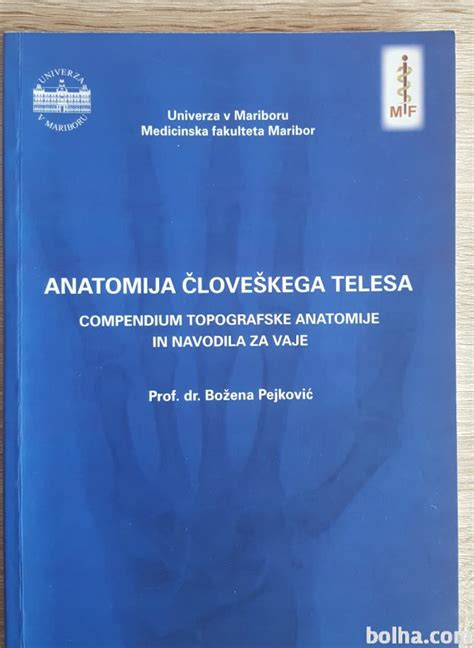 anatomija človeškega telesa med nosečnostjo