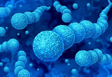 Ilustracija bakterije Streptokok skupine B