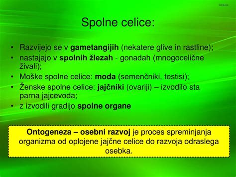 Grafikon prikazuje čakalne dobe za darovane spolne celice