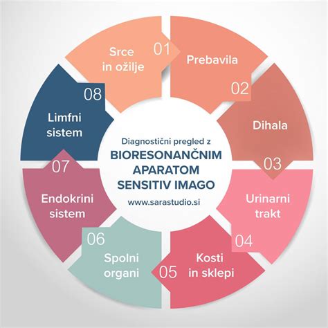 Diagram, ki prikazuje ravnotežje hormonov v telesu