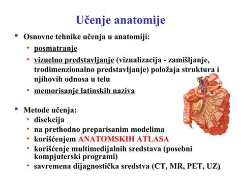 Anatomija ženskega reproduktivnega sistema