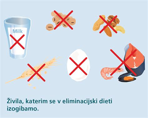 Prikaz BRAT diete z živili