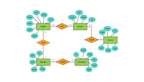 Diagram penisa z označenim problemom fimoze