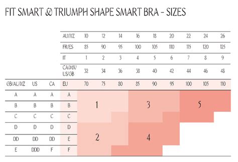 Shema velikosti nedrčkov z velikimi košaricami
