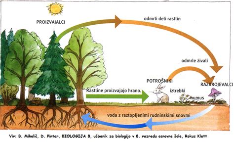 Diagram prikazuje kroženje hranilnih snovi od matere do otroka preko materinega mleka, z označenimi zelišči, ki podpirajo ta proces.