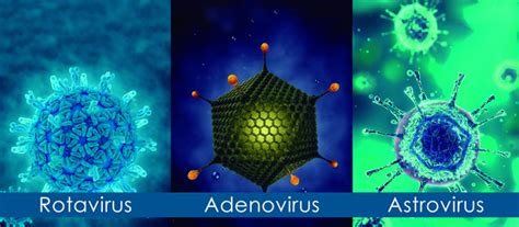 Risba, ki prikazuje različne viruse, ki povzročajo gastroenteritis (rotavirus, adenovirus, norovirus, astrovirus)