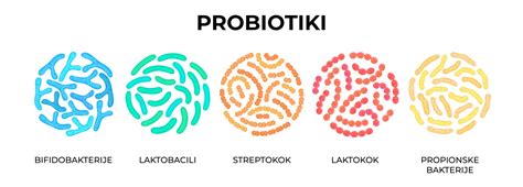 Diagram prebave laktoze v črevesju