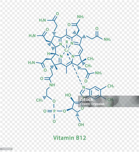 Ilustracija molekul vitamina B12 in folne kisline