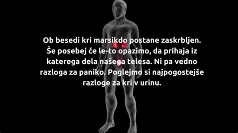 Infografika, ki prikazuje različne vzroke za kri v urinu