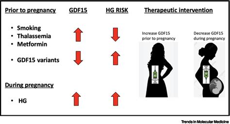 Infografika o simptomih hiperemeze gravidarum