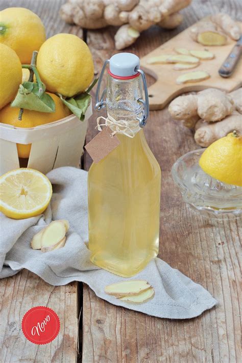 Ilustracija ingverja in limone