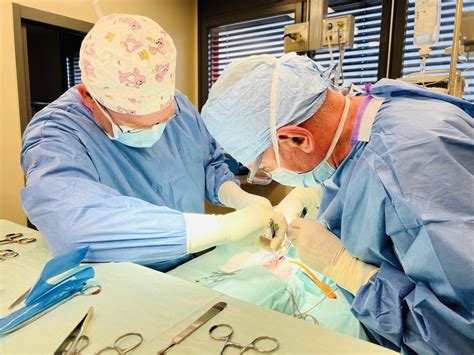 Diagram, ki primerja spinalno in epiduralno anestezijo