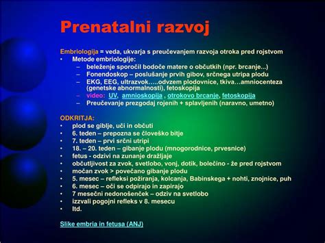 Shematski prikaz razvoja otroka v maternici