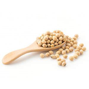 Sojina rastlina in zrna