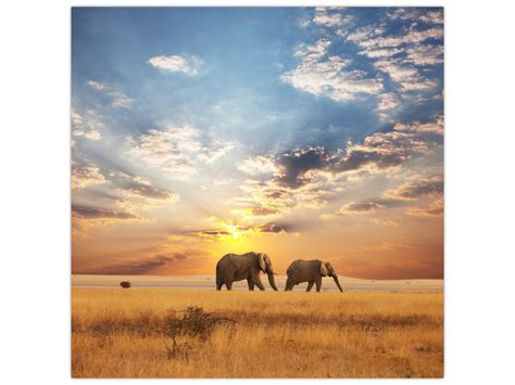 Ilustracija staršev, ki se sprehajajo s kočijem v hladnem vremenu, oblečeni v tople rokavice.