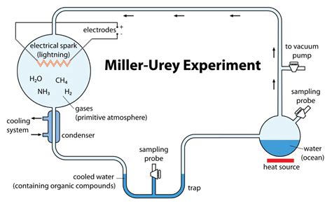 Miller-Urey experiment setup