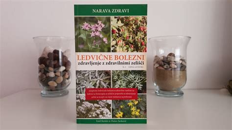 ilustracija nosečnice z zdravilnimi zelišči