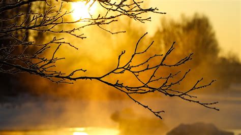 Simbolična slika vitamina D in sončne svetlobe