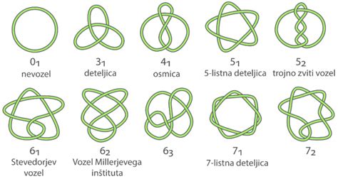 Diagram človeškega telesa z označenimi limfnimi vozli v pazduhi