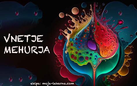 Shema ženskega sečilnega sistema s poudarkom na simptomih vnetja mehurja