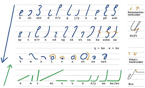 Diagram procesa ugnezditve blastociste v maternično steno
