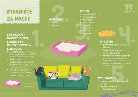 Ilustracija mačke, ki izloča parazitske ciste v iztrebkih