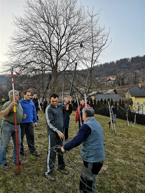 prikaz različnih vrst poliestrskih tkanin